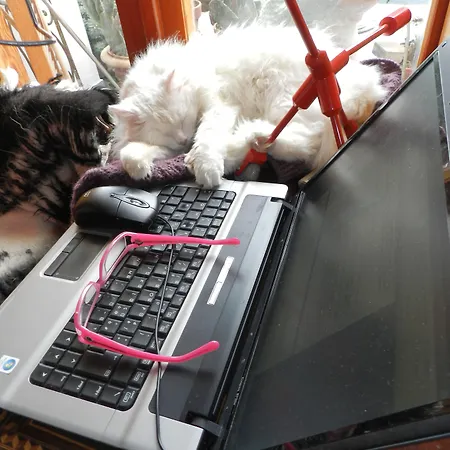 La Dolce 5* Positano