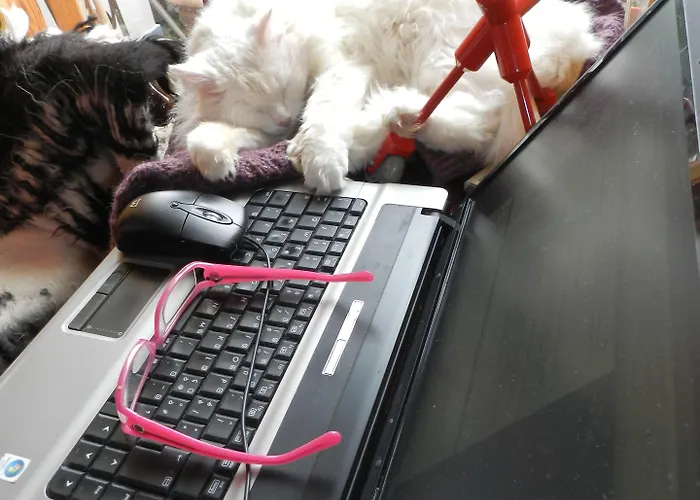 La Dolce 5* بوسيتانو