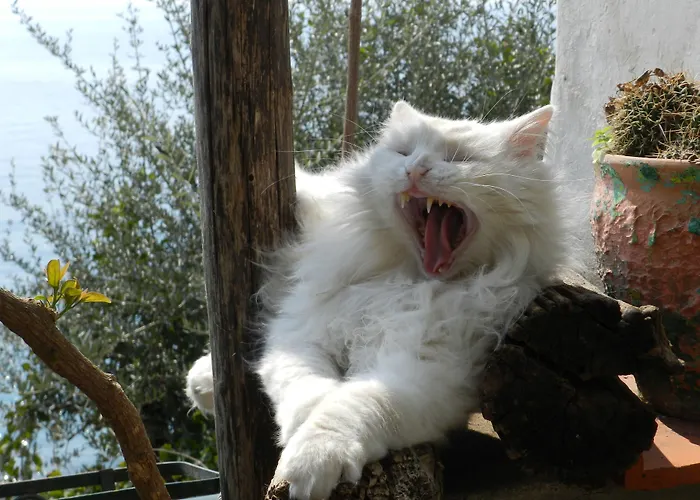 La Dolce Hotel Positano